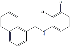 2,3-dichloro-N-(naphthalen-1-ylmethyl)aniline Struktur