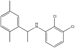 2,3-dichloro-N-[1-(2,5-dimethylphenyl)ethyl]aniline Struktur