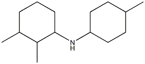 2,3-dimethyl-N-(4-methylcyclohexyl)cyclohexan-1-amine Struktur