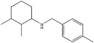 2,3-dimethyl-N-[(4-methylphenyl)methyl]cyclohexan-1-amine Struktur