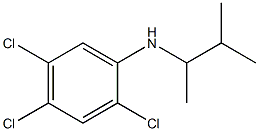 2,4,5-trichloro-N-(3-methylbutan-2-yl)aniline Struktur