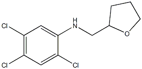 2,4,5-trichloro-N-(oxolan-2-ylmethyl)aniline Struktur