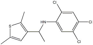 2,4,5-trichloro-N-[1-(2,5-dimethylthiophen-3-yl)ethyl]aniline Struktur