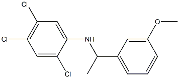 2,4,5-trichloro-N-[1-(3-methoxyphenyl)ethyl]aniline Struktur