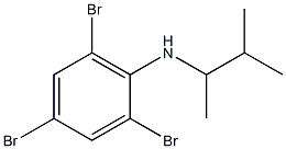 2,4,6-tribromo-N-(3-methylbutan-2-yl)aniline Struktur