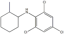 2,4,6-trichloro-N-(2-methylcyclohexyl)aniline Struktur