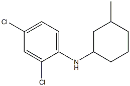 2,4-dichloro-N-(3-methylcyclohexyl)aniline Struktur