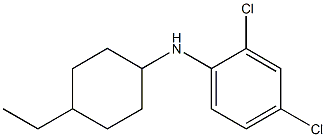 2,4-dichloro-N-(4-ethylcyclohexyl)aniline Struktur