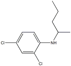 2,4-dichloro-N-(pentan-2-yl)aniline Struktur