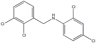 2,4-dichloro-N-[(2,3-dichlorophenyl)methyl]aniline Struktur