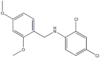 2,4-dichloro-N-[(2,4-dimethoxyphenyl)methyl]aniline Struktur