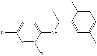 2,4-dichloro-N-[1-(2,5-dimethylphenyl)ethyl]aniline Struktur