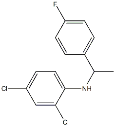 2,4-dichloro-N-[1-(4-fluorophenyl)ethyl]aniline Struktur