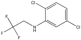 2,5-dichloro-N-(2,2,2-trifluoroethyl)aniline Struktur