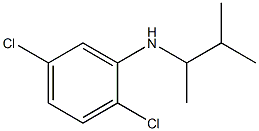 2,5-dichloro-N-(3-methylbutan-2-yl)aniline Struktur