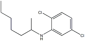 2,5-dichloro-N-(heptan-2-yl)aniline Struktur