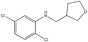 2,5-dichloro-N-(oxolan-3-ylmethyl)aniline Struktur