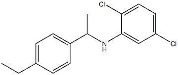 2,5-dichloro-N-[1-(4-ethylphenyl)ethyl]aniline Struktur