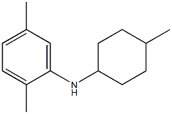 2,5-dimethyl-N-(4-methylcyclohexyl)aniline Struktur