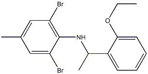 2,6-dibromo-N-[1-(2-ethoxyphenyl)ethyl]-4-methylaniline Struktur