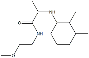 2-[(2,3-dimethylcyclohexyl)amino]-N-(2-methoxyethyl)propanamide Struktur