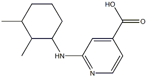 2-[(2,3-dimethylcyclohexyl)amino]pyridine-4-carboxylic acid Struktur