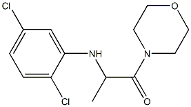 2-[(2,5-dichlorophenyl)amino]-1-(morpholin-4-yl)propan-1-one Struktur