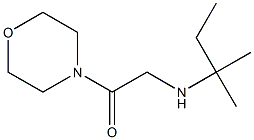 2-[(2-methylbutan-2-yl)amino]-1-(morpholin-4-yl)ethan-1-one Struktur