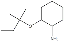 2-[(2-methylbutan-2-yl)oxy]cyclohexan-1-amine Struktur