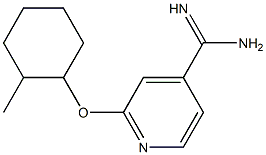 2-[(2-methylcyclohexyl)oxy]pyridine-4-carboximidamide Struktur