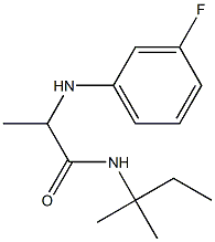 2-[(3-fluorophenyl)amino]-N-(2-methylbutan-2-yl)propanamide Struktur