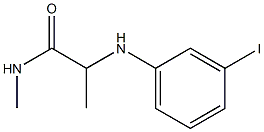 2-[(3-iodophenyl)amino]-N-methylpropanamide Struktur