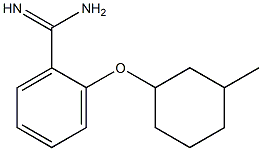 2-[(3-methylcyclohexyl)oxy]benzene-1-carboximidamide Struktur