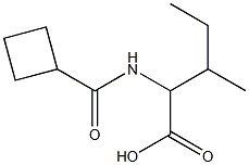 2-[(cyclobutylcarbonyl)amino]-3-methylpentanoic acid Struktur