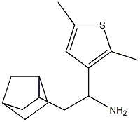 2-{bicyclo[2.2.1]heptan-2-yl}-1-(2,5-dimethylthiophen-3-yl)ethan-1-amine Struktur