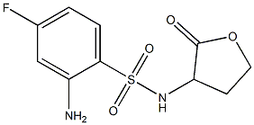 2-amino-4-fluoro-N-(2-oxooxolan-3-yl)benzene-1-sulfonamide Struktur