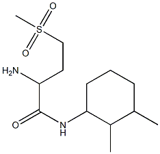 2-amino-N-(2,3-dimethylcyclohexyl)-4-(methylsulfonyl)butanamide Struktur