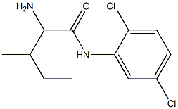 2-amino-N-(2,5-dichlorophenyl)-3-methylpentanamide Struktur