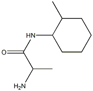 2-amino-N-(2-methylcyclohexyl)propanamide Struktur