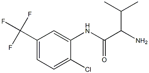 2-amino-N-[2-chloro-5-(trifluoromethyl)phenyl]-3-methylbutanamide Struktur