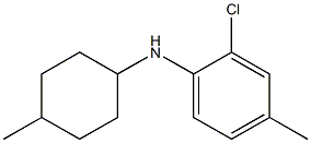 2-chloro-4-methyl-N-(4-methylcyclohexyl)aniline Struktur