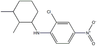 2-chloro-N-(2,3-dimethylcyclohexyl)-4-nitroaniline Struktur