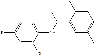 2-chloro-N-[1-(2,5-dimethylphenyl)ethyl]-4-fluoroaniline Struktur