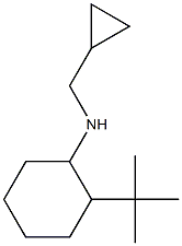 2-tert-butyl-N-(cyclopropylmethyl)cyclohexan-1-amine Struktur