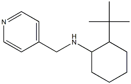 2-tert-butyl-N-(pyridin-4-ylmethyl)cyclohexan-1-amine Struktur