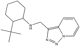 2-tert-butyl-N-{[1,2,4]triazolo[3,4-a]pyridin-3-ylmethyl}cyclohexan-1-amine Struktur