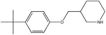 3-(4-tert-butylphenoxymethyl)piperidine Struktur