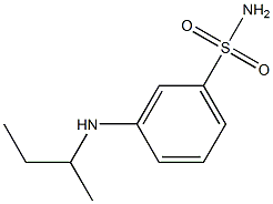 3-(butan-2-ylamino)benzene-1-sulfonamide Struktur