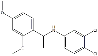 3,4-dichloro-N-[1-(2,4-dimethoxyphenyl)ethyl]aniline Struktur