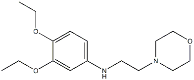 3,4-diethoxy-N-[2-(morpholin-4-yl)ethyl]aniline Struktur